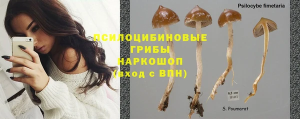 бошки Алексеевка