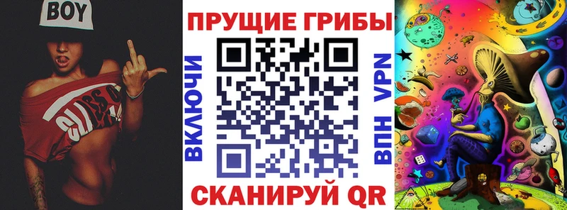 Галлюциногенные грибы Psilocybine cubensis  Кропоткин 