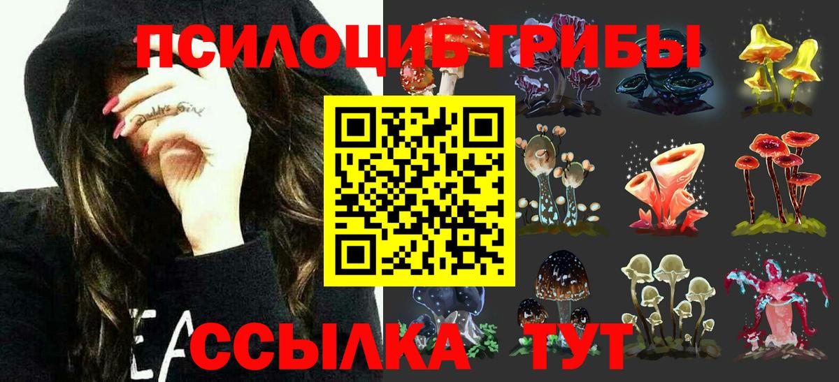 Галлюциногенные грибы Psilocybe Кропоткин