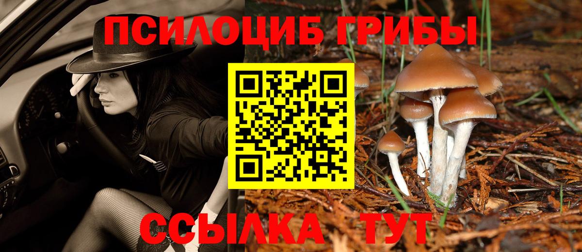 хочу   Псилоцибиновые грибы MAGIC MUSHROOMS  Псилоцибиновые грибы GOLDEN TEACHER  Вход с VPN  Кропоткин 